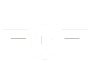 Logo der Automarke MINI mit charakteristischer Schrift und Flügel-Design, das für sportliche Eleganz und urbanen Lifestyle steht. Ideal für die Darstellung von Kompaktheit und Fahrspaß.