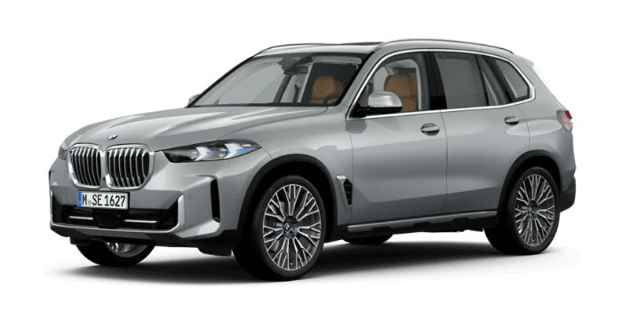 BMW X5 in silberner Lackierung mit eleganten Designelementen und sportlichen Alufelgen, präsentiert auf einer Fahrzeugübersicht-Seite.